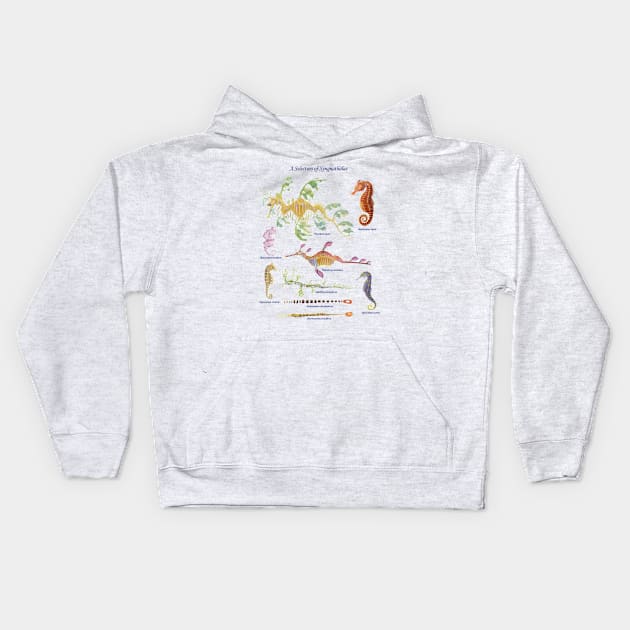 Syngnathidae With Type Kids Hoodie by laurenpenney